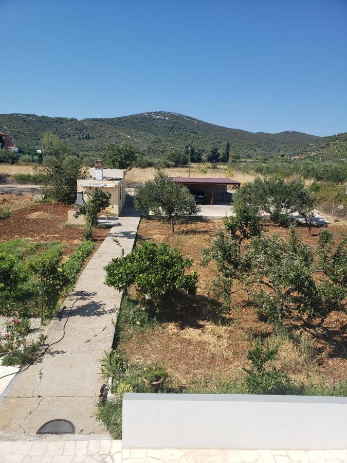 Apartmani Ciklic Dobropoljana Extérieur photo