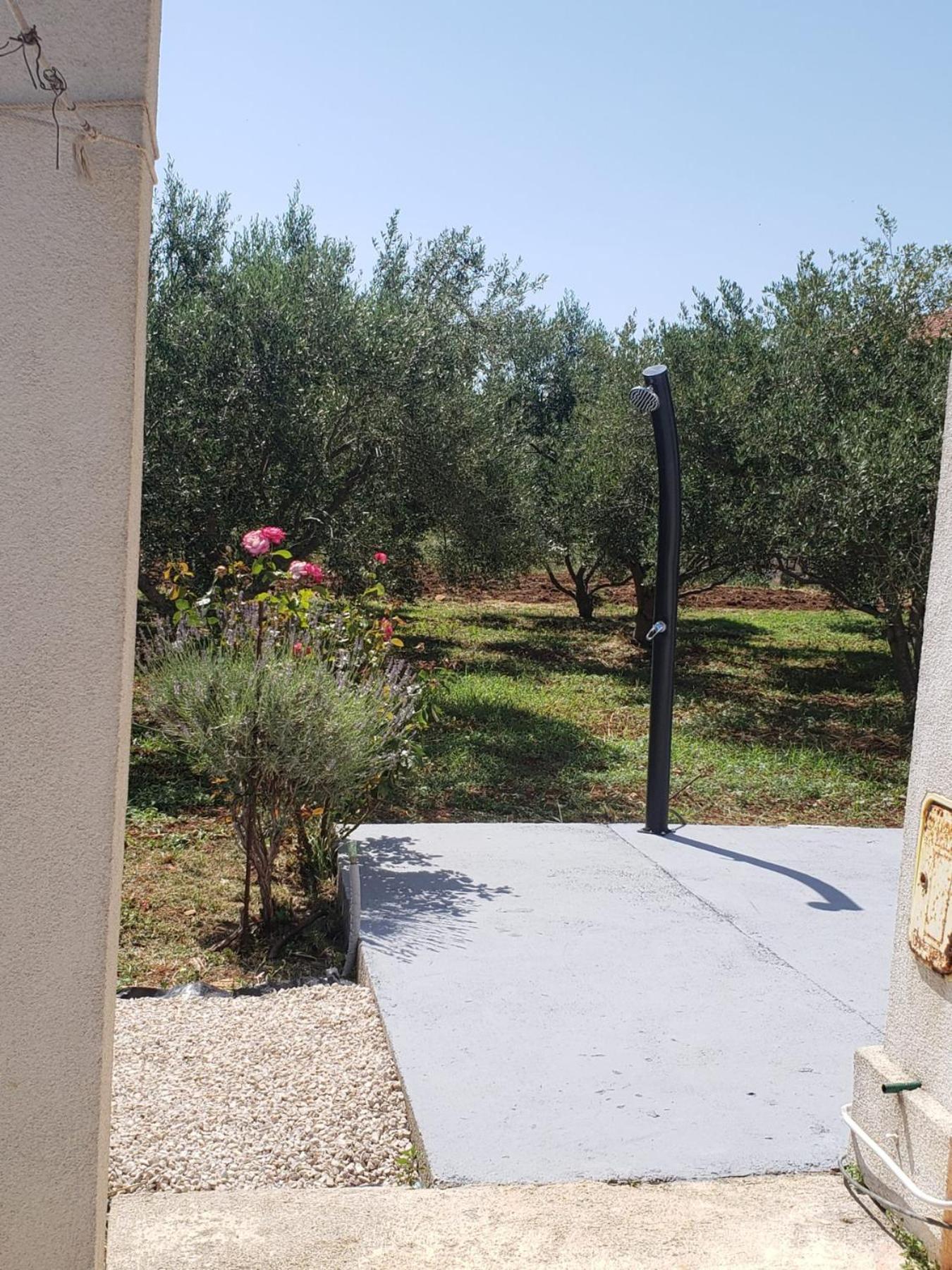 Apartmani Ciklic Dobropoljana Extérieur photo